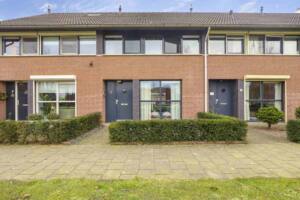Viswei 9, Angeren