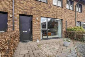 Golden Champion 9, Huissen